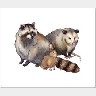 Critters (Raccoon, Rabbit, and Opossum Friends) Posters and Art